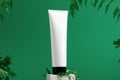 Unbranded container on shopfront. Plastic tube for toiletry. Tropical leaves on background. Flacon for professional cosmetics.