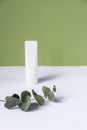 Unbranded white cream tube and eucalyptus leaves. Eco-friendly cosmetic products concept. Green and white background Royalty Free Stock Photo
