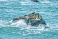 The unbridled power and beauty of the ocean, close-up, the waves crash on the rocky shore. The rough texture of the rocks