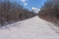 Unbroken Snow on a Rural Road