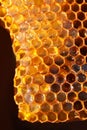 Uncapped filled honeycomb on dark background, closeup Royalty Free Stock Photo
