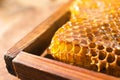 Uncapped honeycomb frame on blurred background, closeup Royalty Free Stock Photo