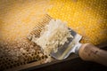 Honeycomb with uncapping fork close up Royalty Free Stock Photo