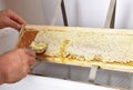 Uncapping of honeycomb at plastic tub Royalty Free Stock Photo