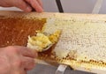 Uncapping of honeycomb at plastic tub Royalty Free Stock Photo