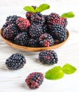 Ãâunch of wild berries Royalty Free Stock Photo