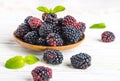 Ãâunch of wild berries and mint Royalty Free Stock Photo