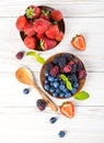 Ãâunch of wild berries and mint Royalty Free Stock Photo