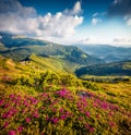 Uncharted beauti of Carpathian mountains. Royalty Free Stock Photo