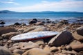 an unclaimed surfboard lying by the seaside Royalty Free Stock Photo