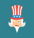 Uncle Sam winks. Man happy emoji. Uncle Sam Vector illustration Royalty Free Stock Photo