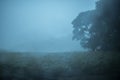 unclear scene of the natural field during heavy rain