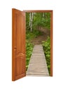 unclosed wooden door with a kind on a wooden path in a birchwood