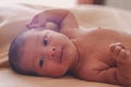 Unclothed, half-body newborn Royalty Free Stock Photo