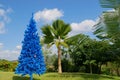 Unconventional blue christmas tree in green tropical garden with palm tree and mountain in the background, blue color concept Royalty Free Stock Photo