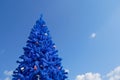 Unconventional blue christmas tree