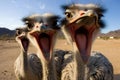 Unconventional Ostrich selfie funny head. Generate Ai Royalty Free Stock Photo