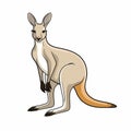 Unconventional Poses: Australian Kangaroo Vector Illustration