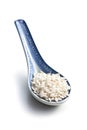 The uncooked arborio rice Royalty Free Stock Photo