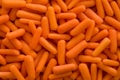 Uncooked Baby Carrots Royalty Free Stock Photo