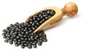 Uncooked black beans in the wooden scoop, isolated on the white background