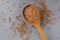 Uncooked brown buckwheat in wooden spoon against grey background. Organic food concept. Buckwheat grains. Ingredients for cooking