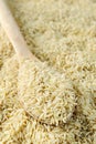 Uncooked Brown rice grains Royalty Free Stock Photo