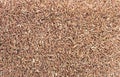 Uncooked brown rice grains background Royalty Free Stock Photo