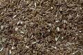 Uncooked brown rice Royalty Free Stock Photo