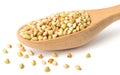 Uncooked buckwheat in the wooden spoon, isolated on the white background.