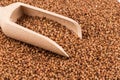 Uncooked buckwheat on wooden spoon