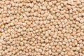 Uncooked chickpea beans background texture