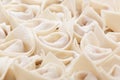Uncooked chinese meat dumpling Royalty Free Stock Photo