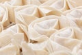 Uncooked chinese meat dumpling Royalty Free Stock Photo