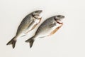 Uncooked,cleaned sea bream fish on white surface with copy space