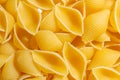Uncooked Conchiglie Pasta Background Royalty Free Stock Photo