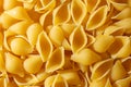 Uncooked Conchiglie Pasta Background Royalty Free Stock Photo