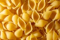 Uncooked Conchiglie Pasta Background Royalty Free Stock Photo