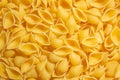 Uncooked Conchiglie Pasta Background Royalty Free Stock Photo