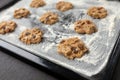 Uncooked cookies on baking tray