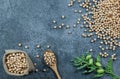 Uncooked dried chickpeas in burlap sack with raw green chickpea pod plant on rustic table Royalty Free Stock Photo