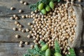 Uncooked dried chickpeas in burlap sack with raw green chickpea pod plant on wooden table Royalty Free Stock Photo