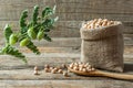 Uncooked dried chickpeas in burlap sack with raw green chickpea pod plant on wooden table Royalty Free Stock Photo