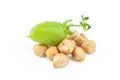 Uncooked dried chickpeas with raw green chickpea pod plant isolated on white background Royalty Free Stock Photo