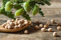 Uncooked dried chickpeas in wooden spoon with raw green chickpea pod plant on wooden table Royalty Free Stock Photo