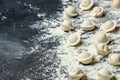 uncooked dumplings pelmeni. homemade raw ravioli, Meat Dumplings banner, menu, recipe place for text, top view Royalty Free Stock Photo