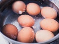 Uncooked eggs boiling in hot water in a silver pan