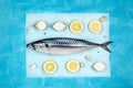 Uncooked fish with ingredients for cooking on a blue background Royalty Free Stock Photo