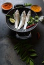 Uncooked fresh fish on a black pan along with spice condiments with use of selective focus. Royalty Free Stock Photo