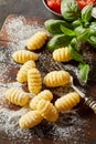 Uncooked freshly made Italian gnocchi dumplings